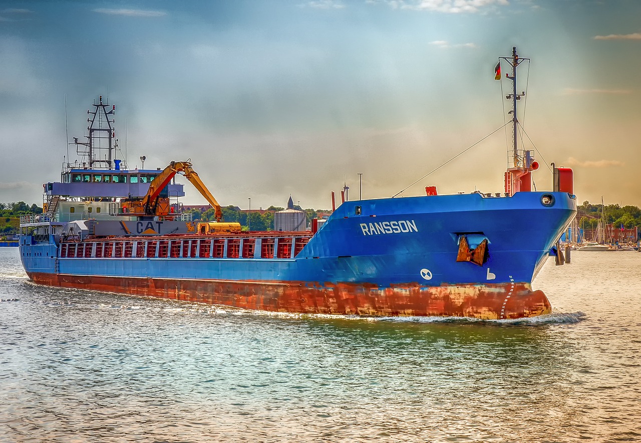The Environmental Impact of Cruise Ships